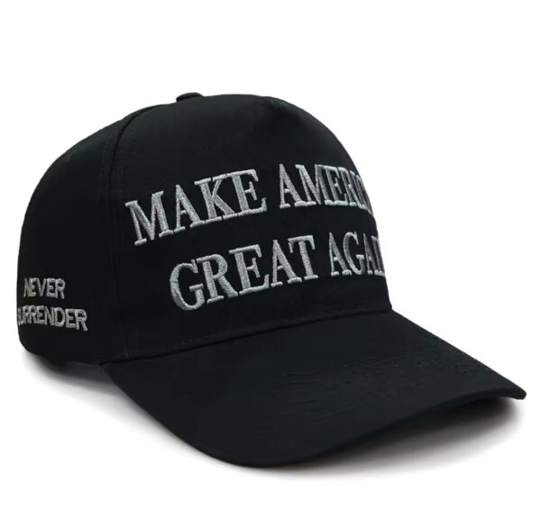 Elon Musk MAGA hat - Image 3